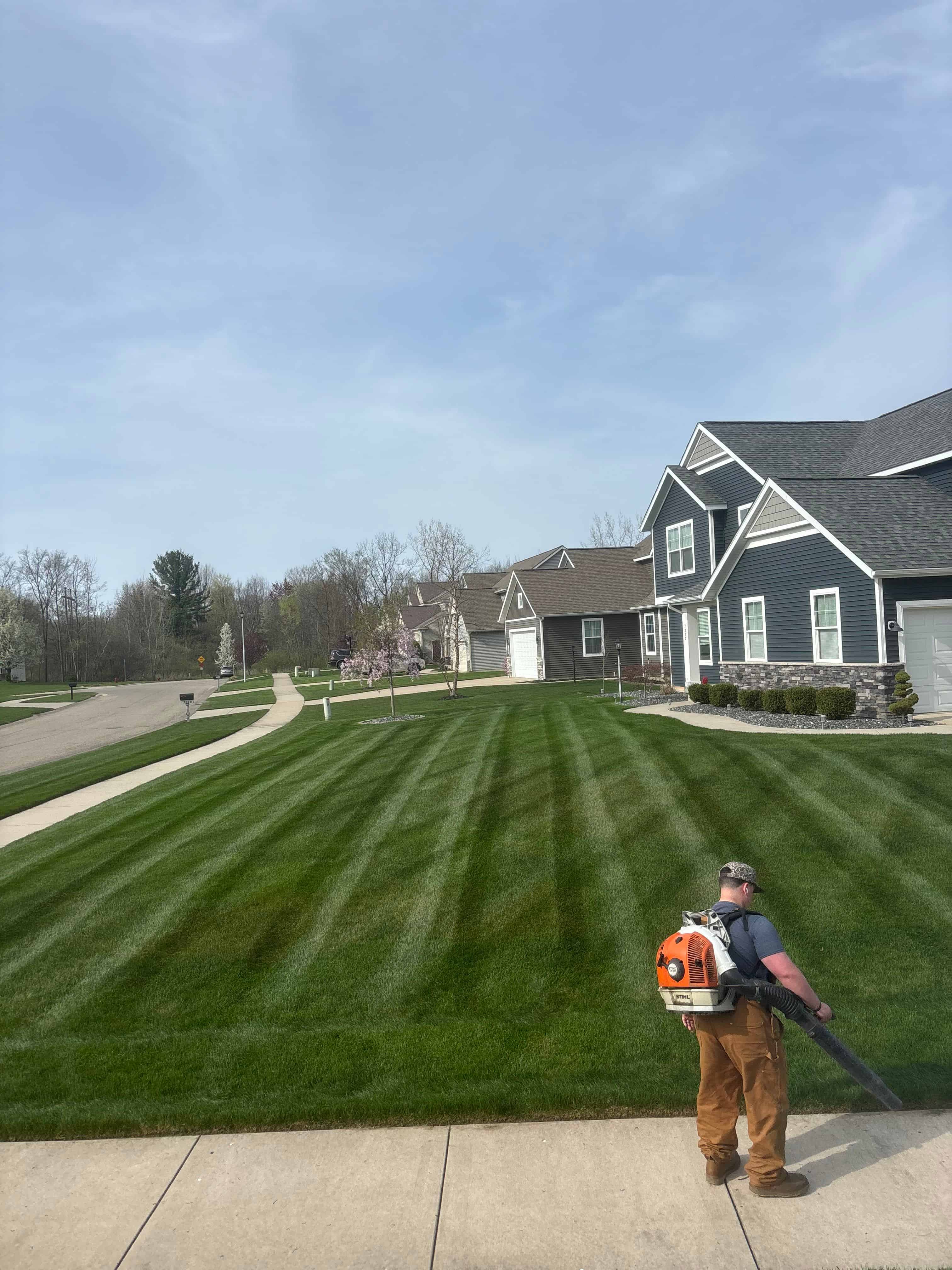Lawn Maintenance Services image
