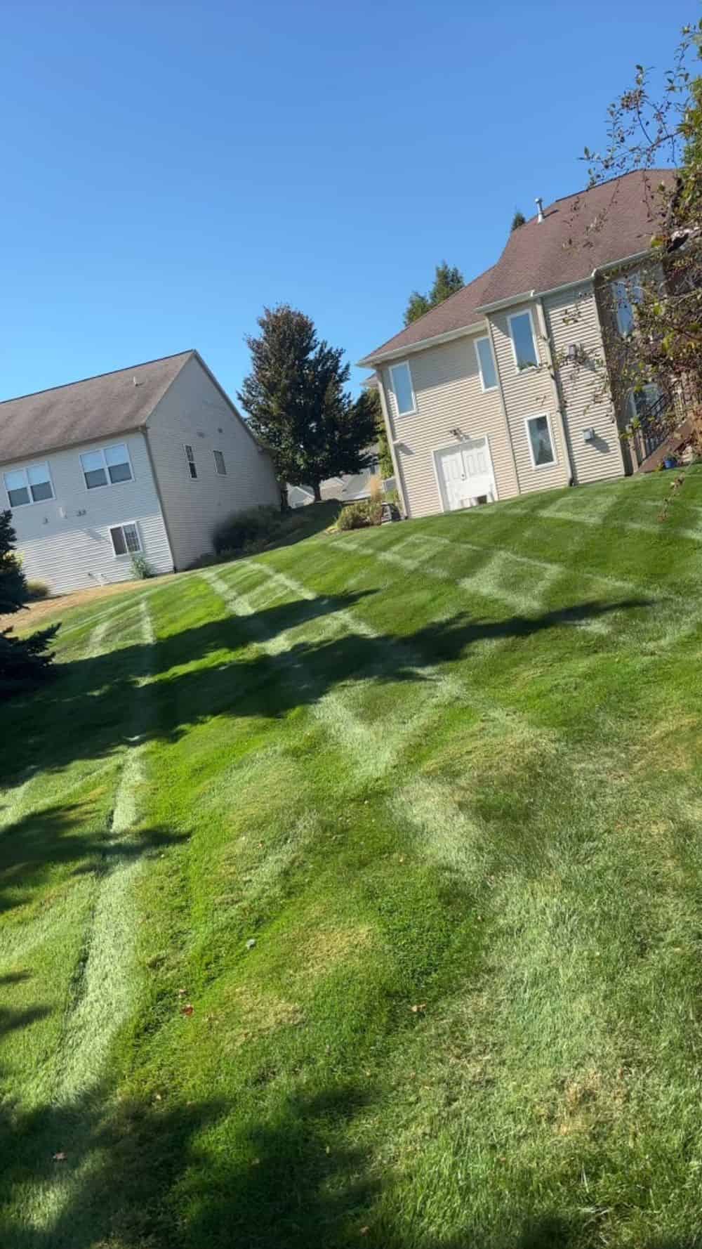 Lawn Maintenance Services image