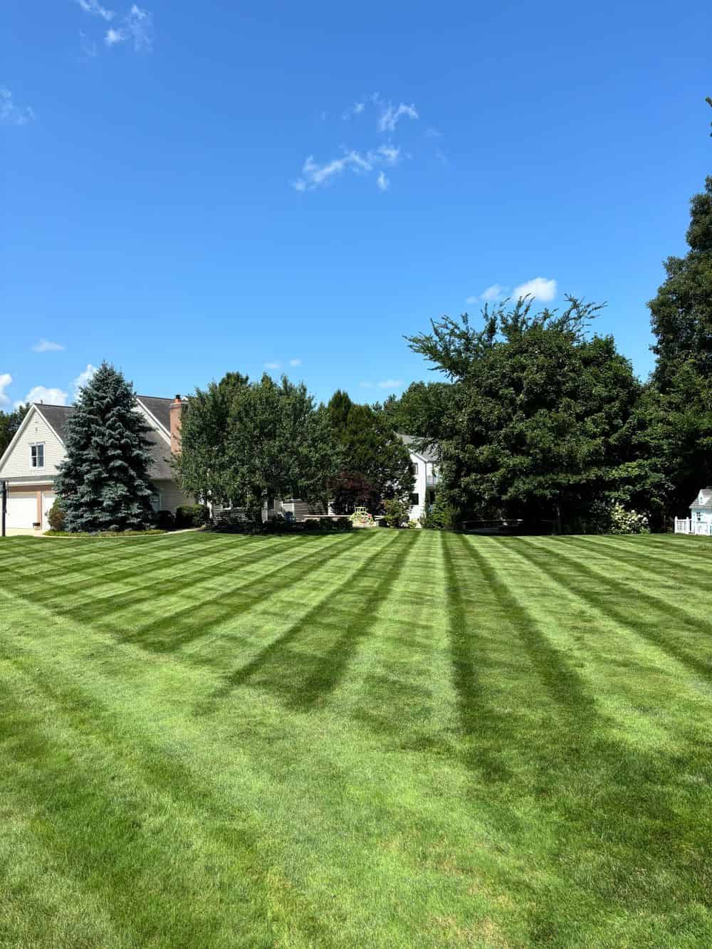 Spring & Fall Cleanup image