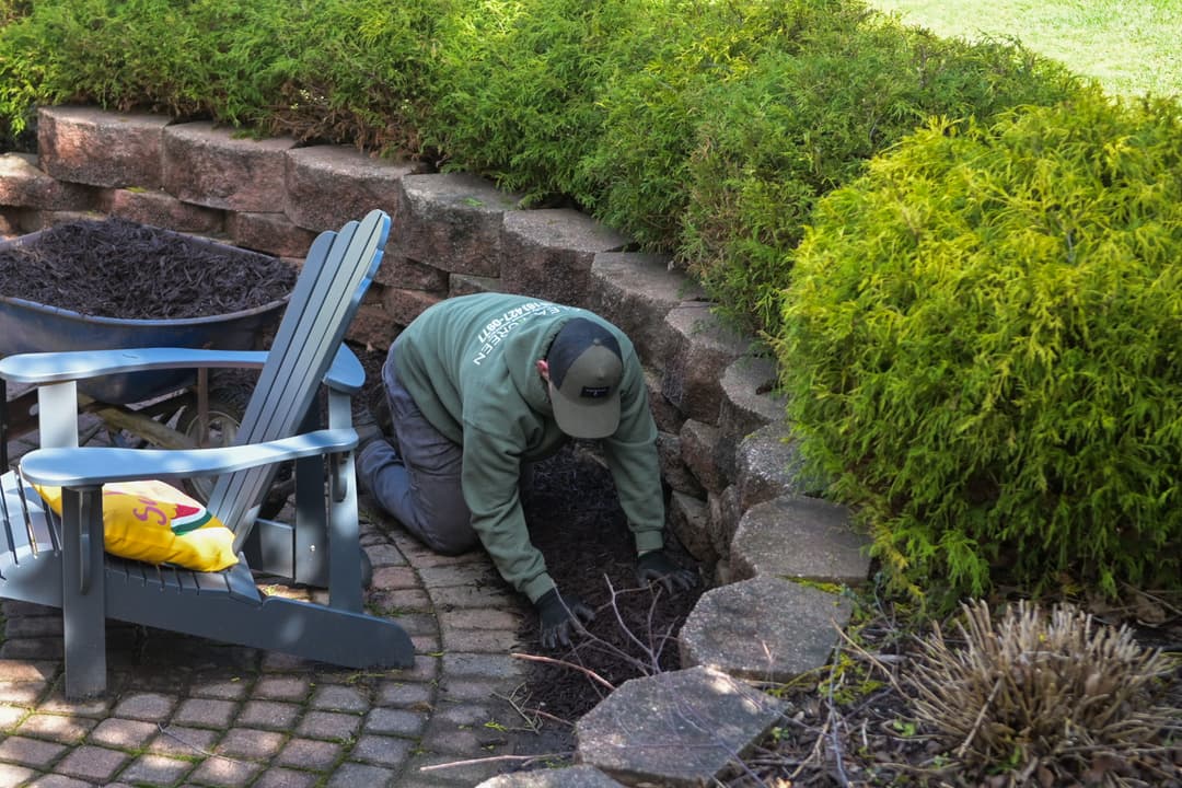 Person gardening in a stone-bordered bed, enhancing landscape with plants and mulch.