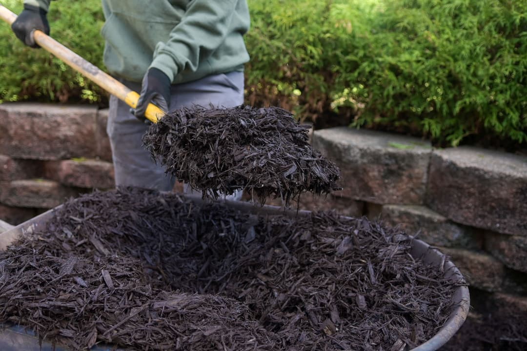 Person using a shovel to lift dark mulch for landscaping around stone wall.