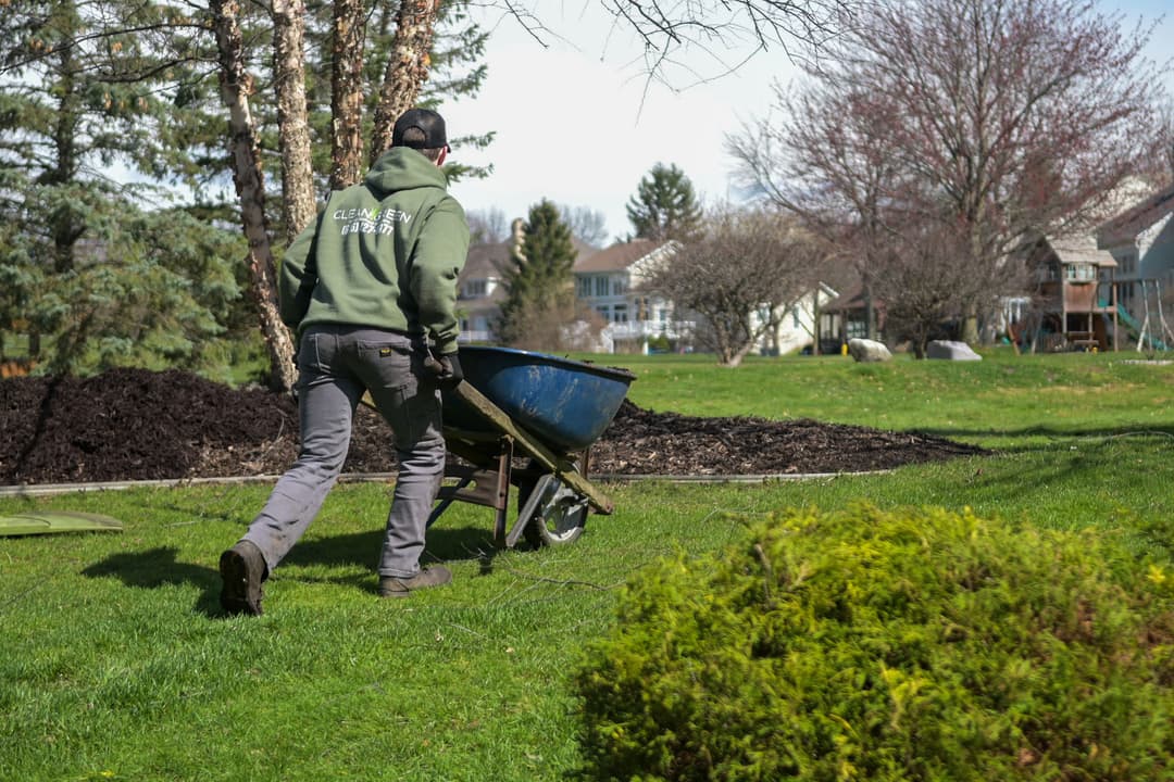 Gardener pushing a wheelbarrow in a landscaped yard with trees and residential background.