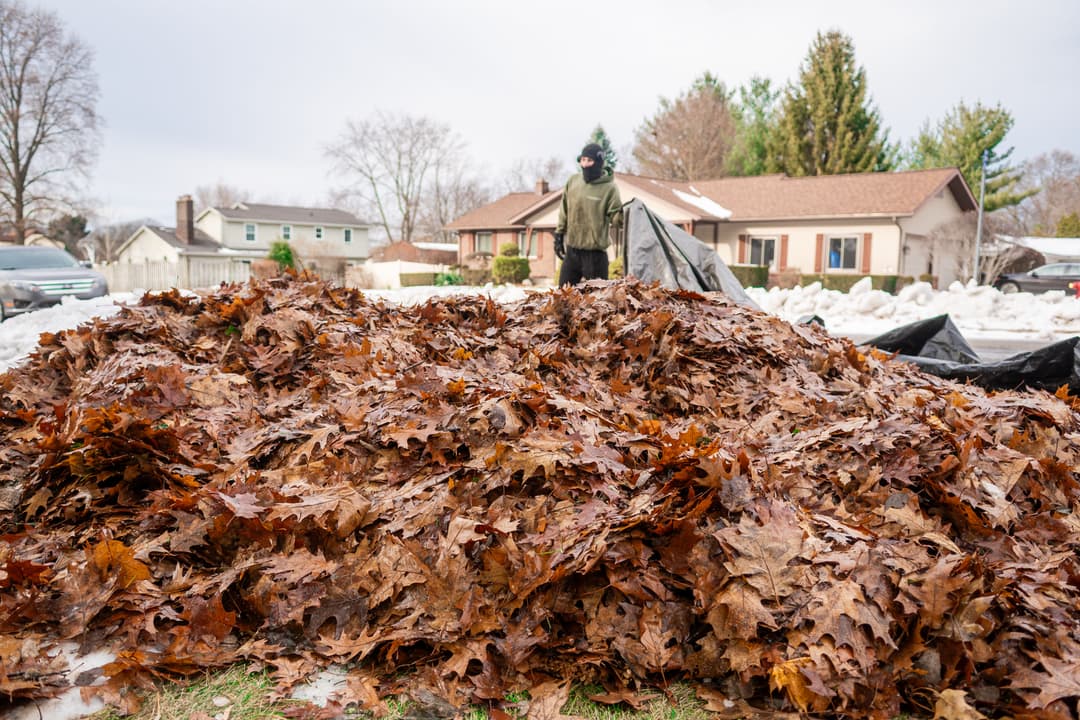 Person in a mask stands near a large pile of autumn leaves in a suburban yard.