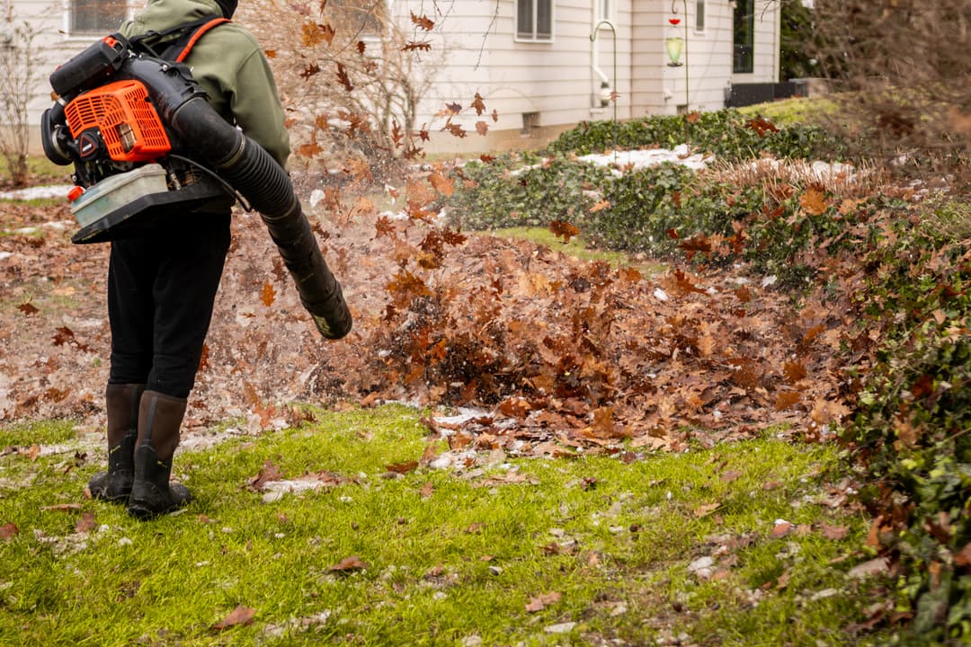 Person using a leaf blower to clear autumn leaves from a green lawn.