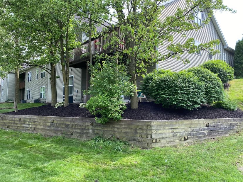 Customer-Centric Service Excellence's image