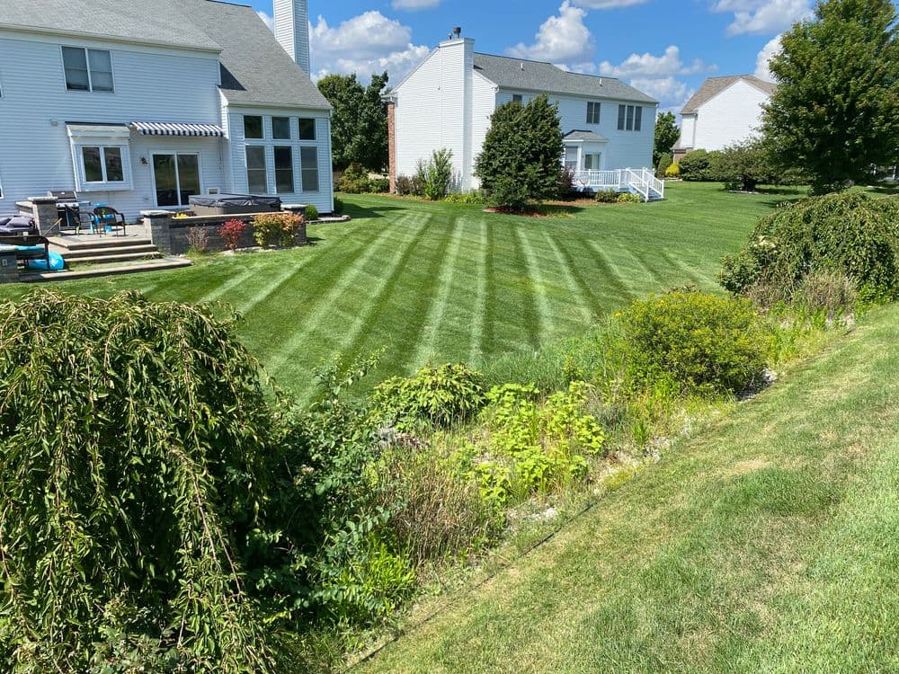 Contact form background